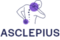 Pro Web Design Dev Clinic